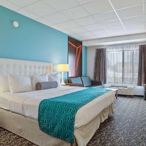 King Room Mobility accessible